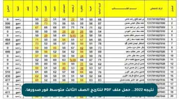 نتيجة 2022.. حمل ملف PDF لنتائج الصف الثالث متوسط فور صدورها.